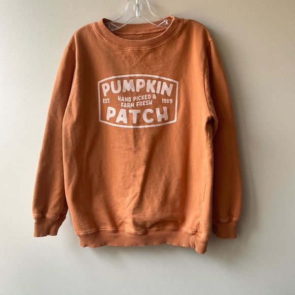 June & Gray Pumpkin Patch Sweater - Picture 1 of 5